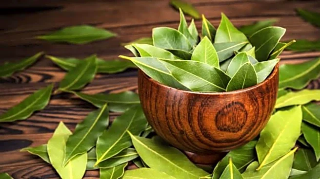 How bay leaf can help you de-stress