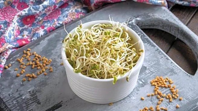 Why fenugreek sprouts are a breakfast superfood