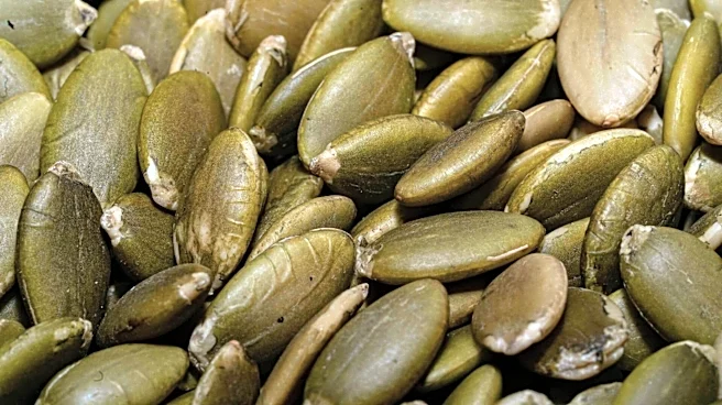 Pumpkin seeds v/s sunflower seeds: Which is healthier?