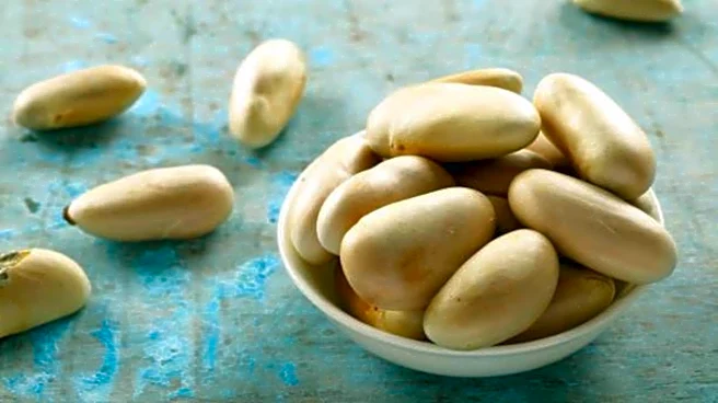 Tasty ways to use leftover jackfruit seeds