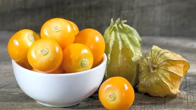 Golden berry: A powerhouse of antioxidants
