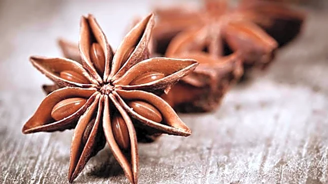 How star anise can transform simple dishes