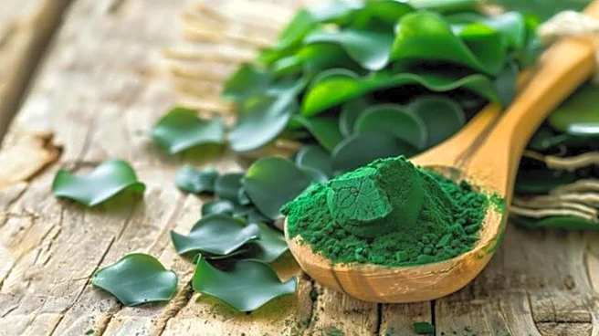 Why spirulina is a favorite among vegetarians
