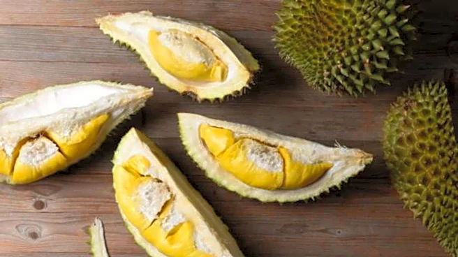What exactly is durian fruit?