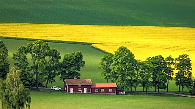 Sweden's countryside is a dream for nature lovers!