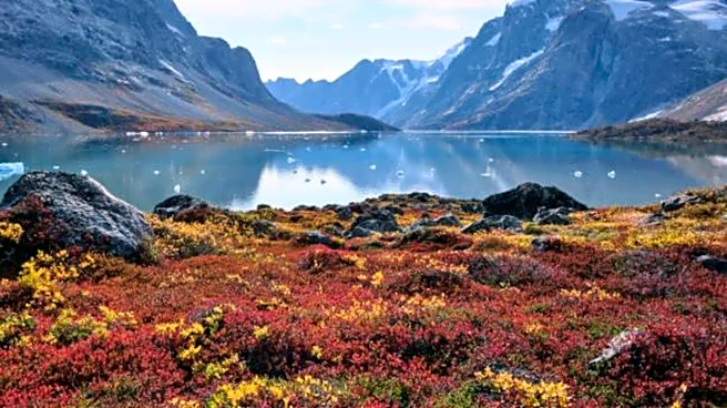 Why Greenland's fjords are a kayaker's dream