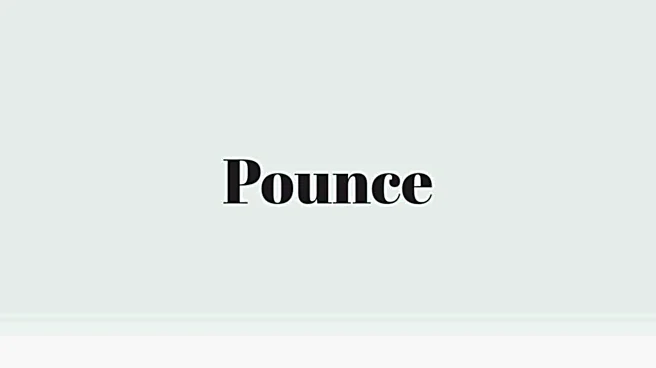 Word of the Day: Pounce