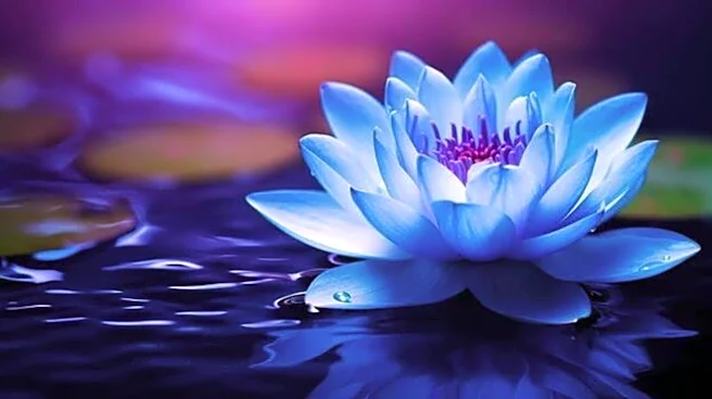 Blue lotus: A skincare ingredient gaining attention