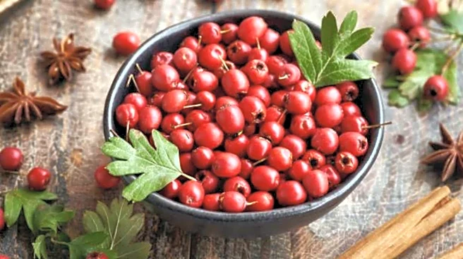 Hawthorn berries: A superfood for heart health