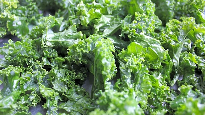 Kale chips are the healthy snack you've been missing
