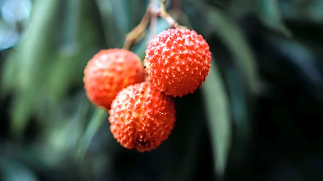 5 surprising ways litchi can give you glowing skin