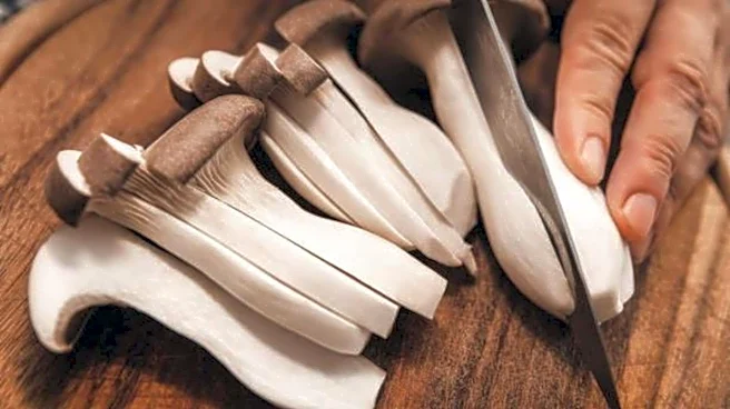 How to cook with trumpet mushrooms