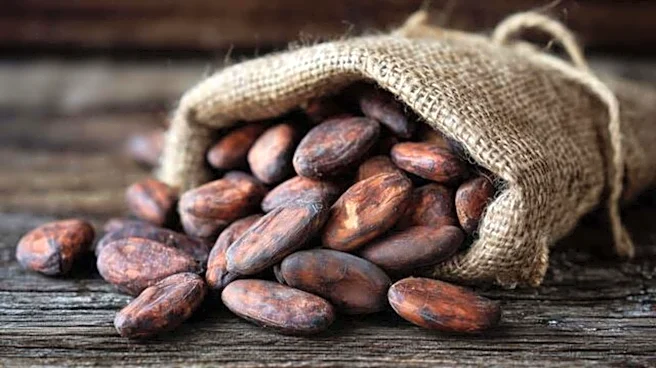 Why your skincare routine needs cocoa beans