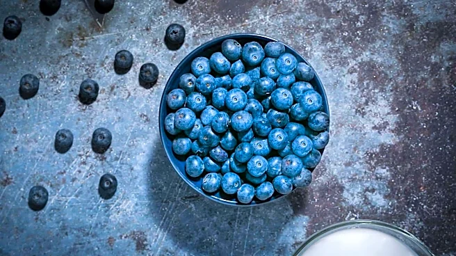 Grapes v/s blueberries: Which fruit is better for you?