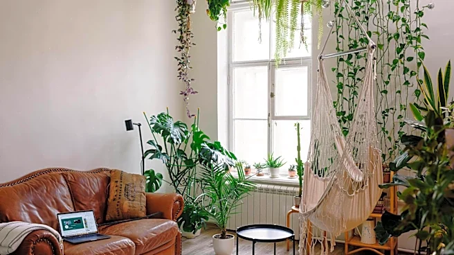 How to create a nature-inspired sanctuary at home