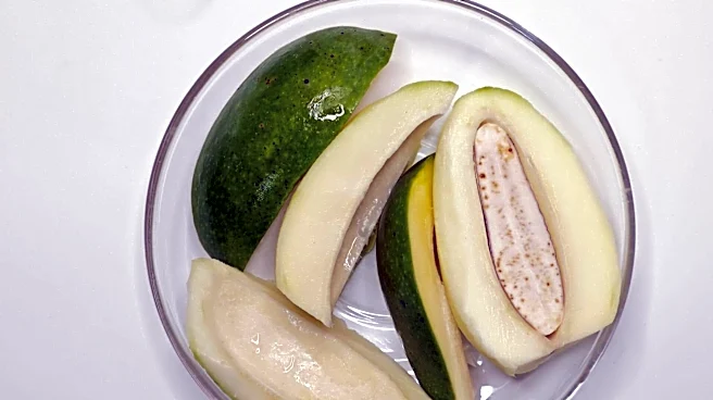 Mango kernels: The hidden superfood you're throwing away