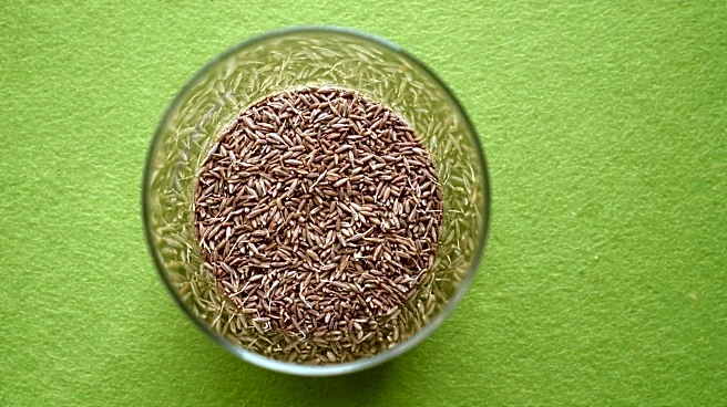 Make your meals tastier with ajwain and cumin