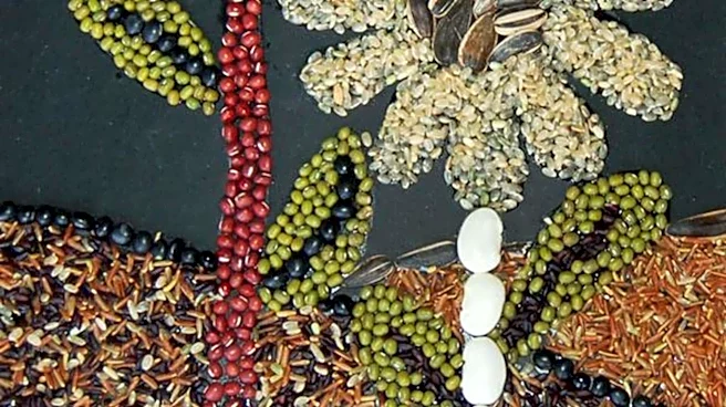 DIY: How to make colorful seed mosaics