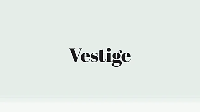 Word of the Day: Vestige