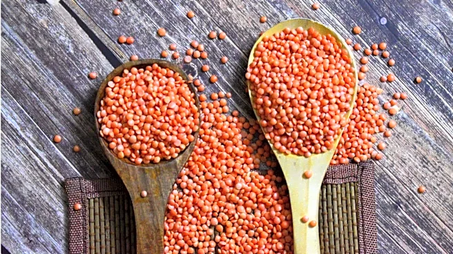 Oats or lentils? Here's what your body needs