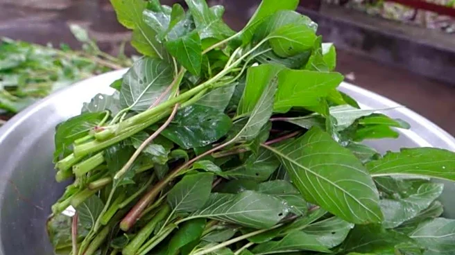 Why amaranth greens are considered a superfood