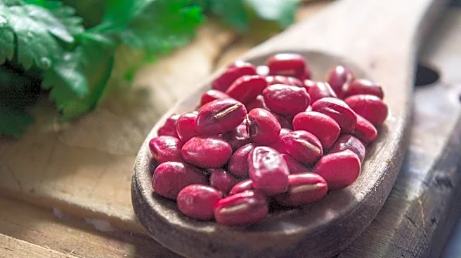 Health benefits of adding red kidney beans to your diet