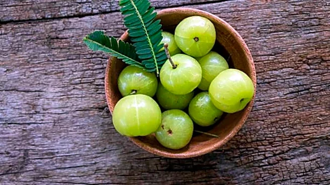 Amazing health benefits of Indian gooseberry