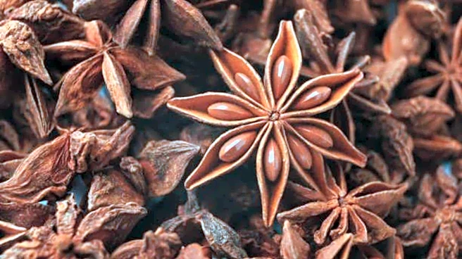 Why aniseed is a skincare must-have