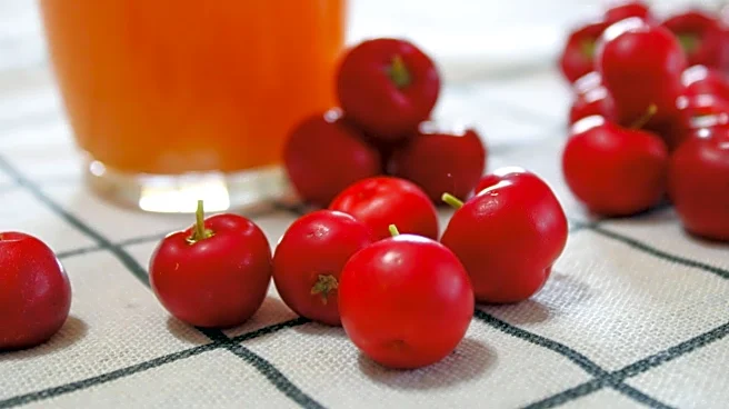 Acerola: The superfruit that packs a vitamin C punch