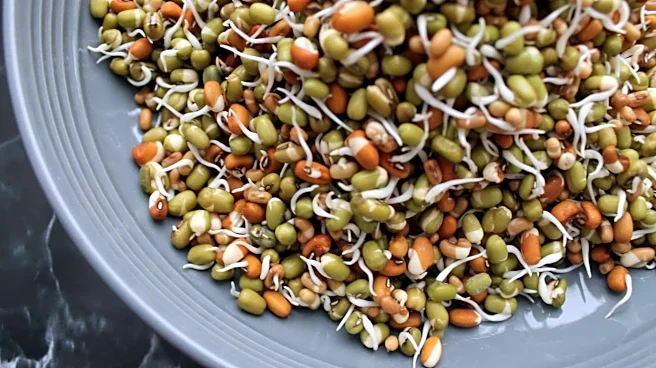 Lentil sprouts: The healthy addition every meal needs