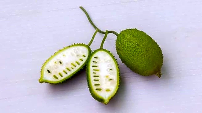 How to add spiny gourd to your meals