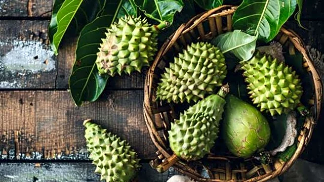 Meet your new superfruit: Soursop