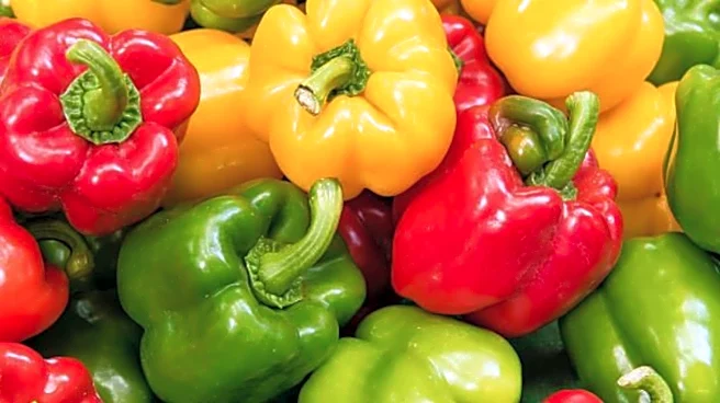 Flavorful dishes starring bell peppers