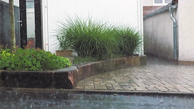 Keep your garden watered without spending much