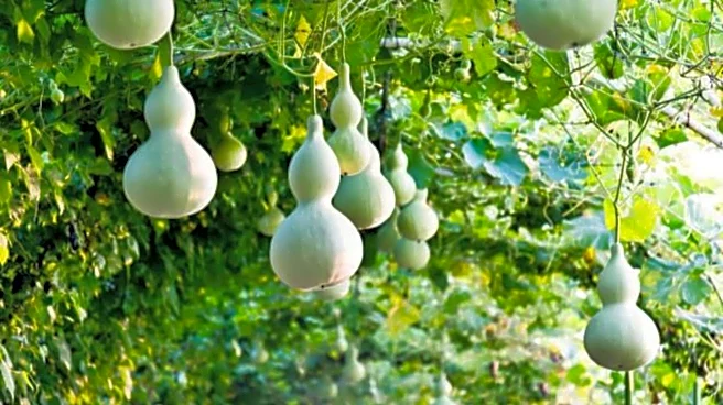 5 traditional dishes featuring calabash