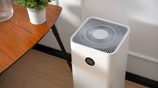 Are portable air purifiers worth it?