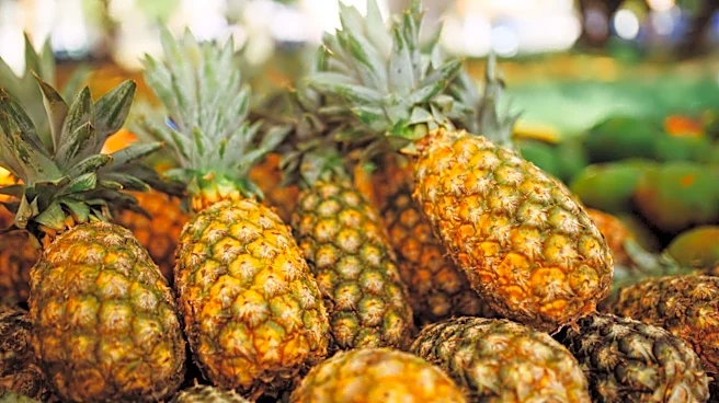 The nutritional difference between mango and pineapple