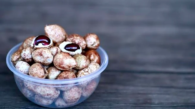 Bambara groundnuts: Nutrition, benefits, and more