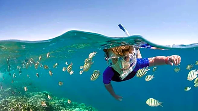 Top snorkeling spots in Finland