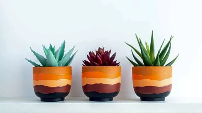 African clay planters: A unique choice for plant lovers