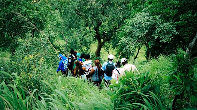 How nature walks can help you feel more grateful