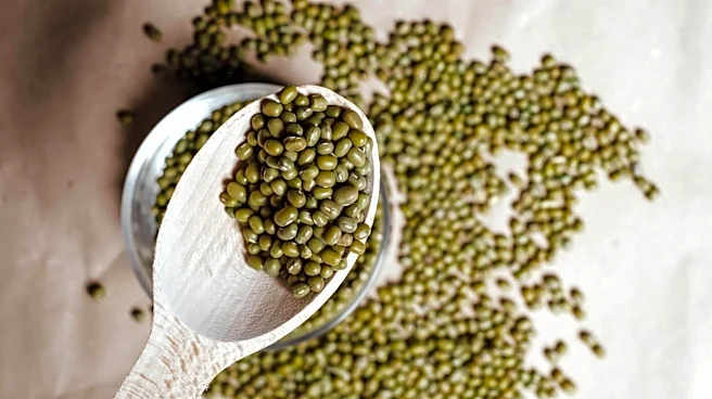 Which packs more nutrition: Lentils or mung beans?