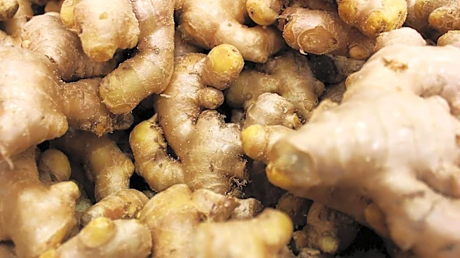 Turmeric v/s ginger: Comparing their nutrition