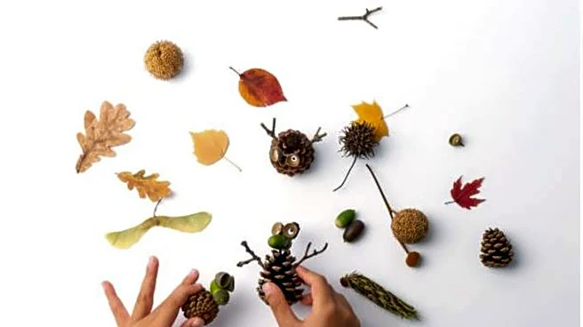 How to create stunning art with seed pods
