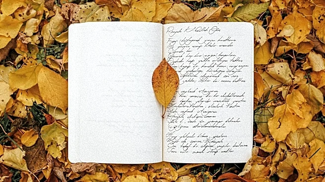 5 simple tips to write better haiku poems