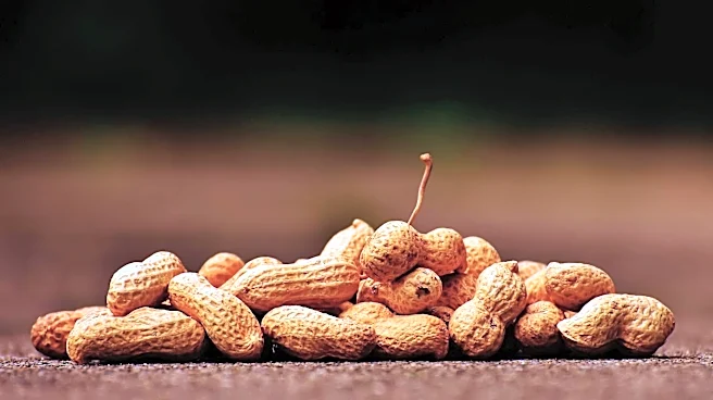 5 African legumes that make veg meals better