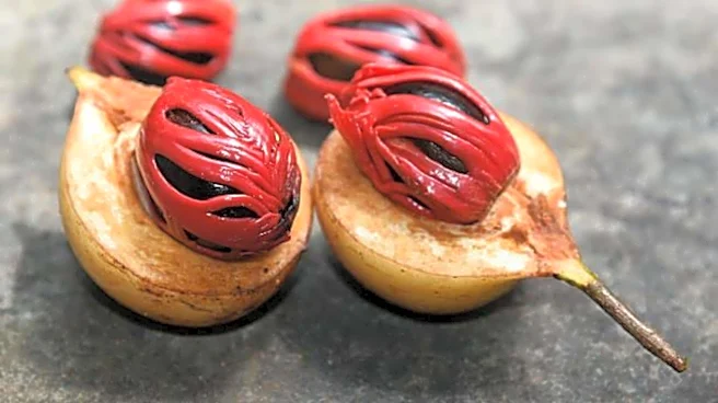 Bake with mace: The spice your desserts are missing