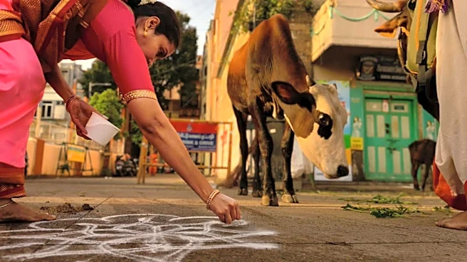 Kolam patterns: A harvest festival tradition in India