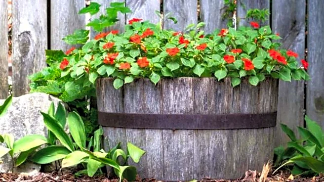 Refresh your garden decor with drum planters