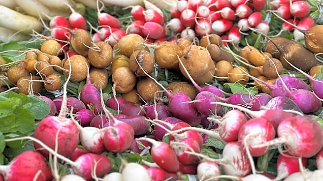 Healthy root vegetables you should add to your diet